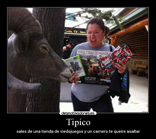 Tipico -