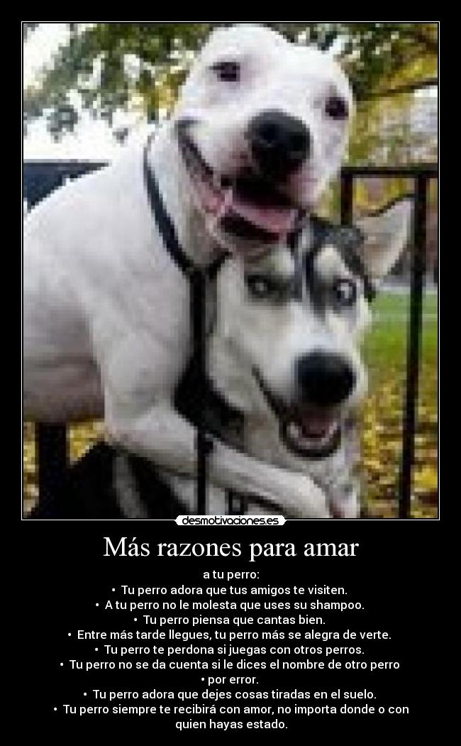 Más razones para amar - 