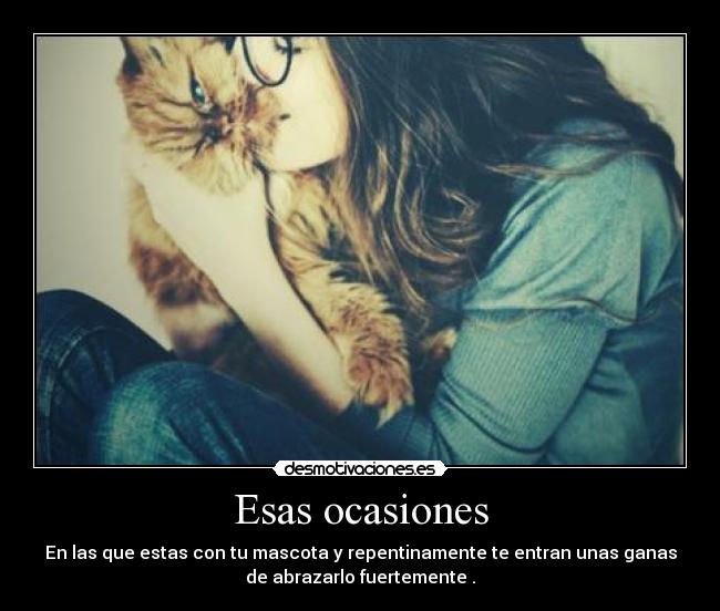 Esas ocasiones - En las que estas con tu mascota y repentinamente te entran unas ganas
de abrazarlo fuertemente .