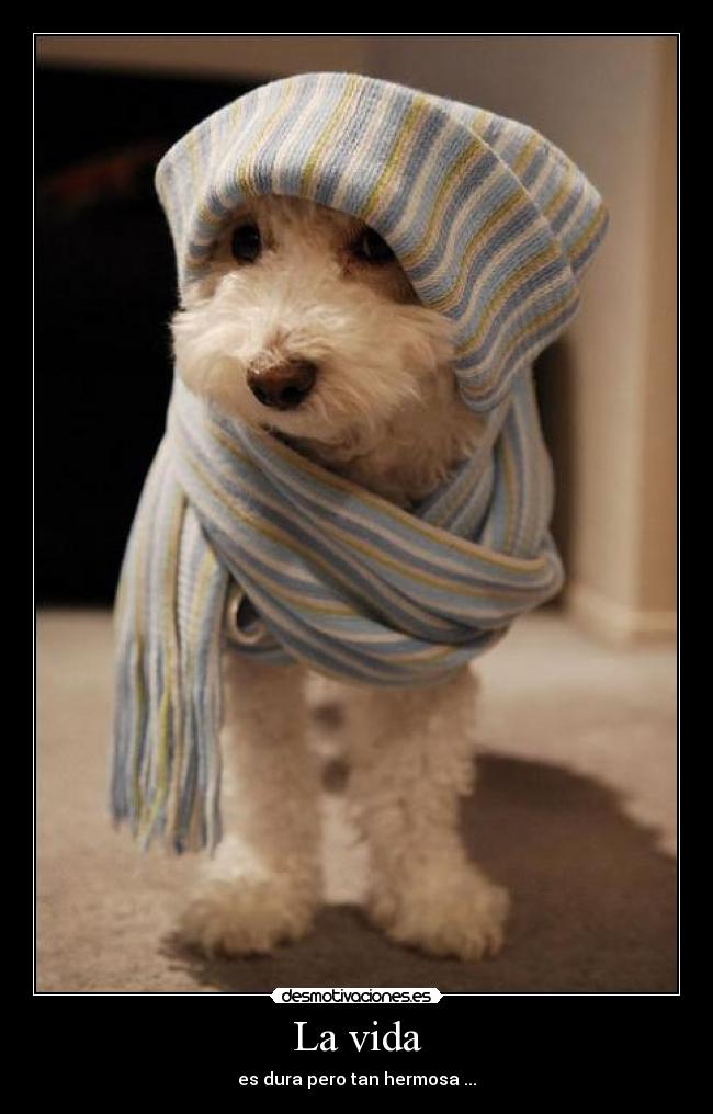 La vida - es dura pero tan hermosa ...