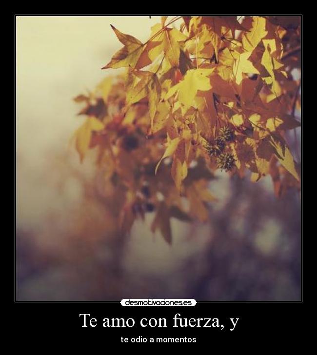 Te amo con fuerza, y - te odio a momentos