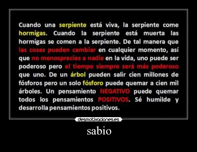 sabio -