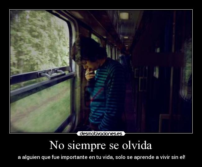 No siempre se olvida - a alguien que fue importante en tu vida, solo se aprende a vivir sin el!