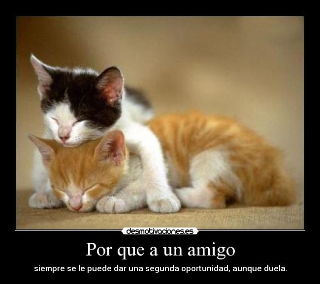 Por que a un amigo -