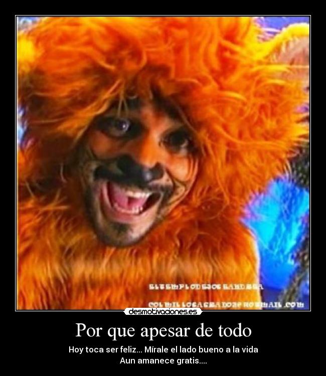 Por que apesar de todo -