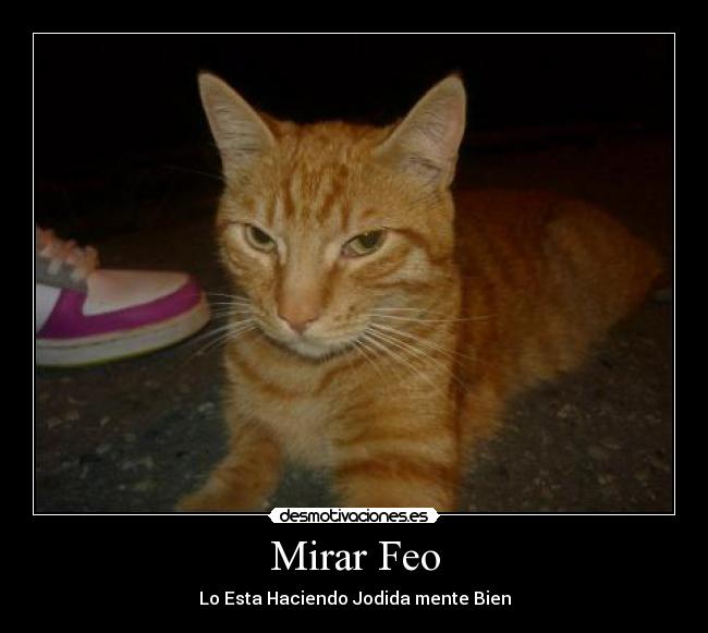 Mirar Feo - Lo Esta Haciendo Jodida mente Bien