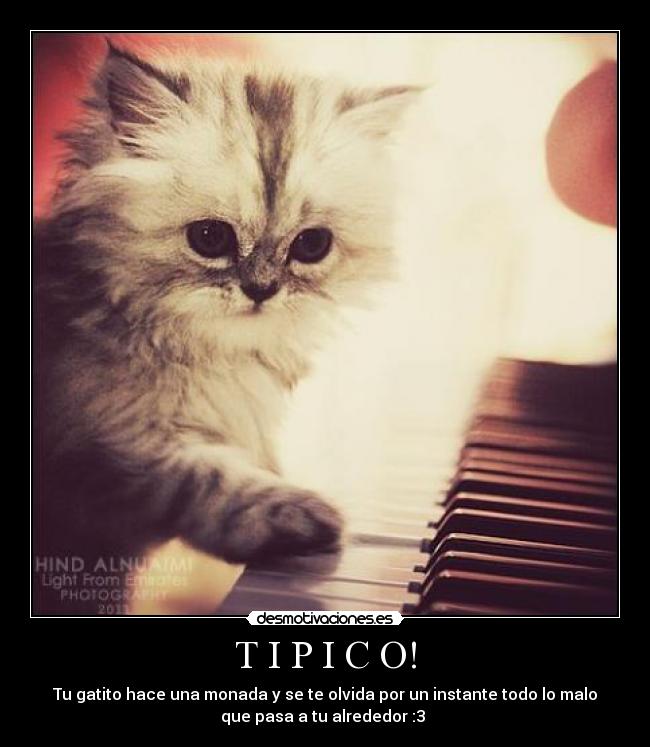 carteles neko desmotivaciones