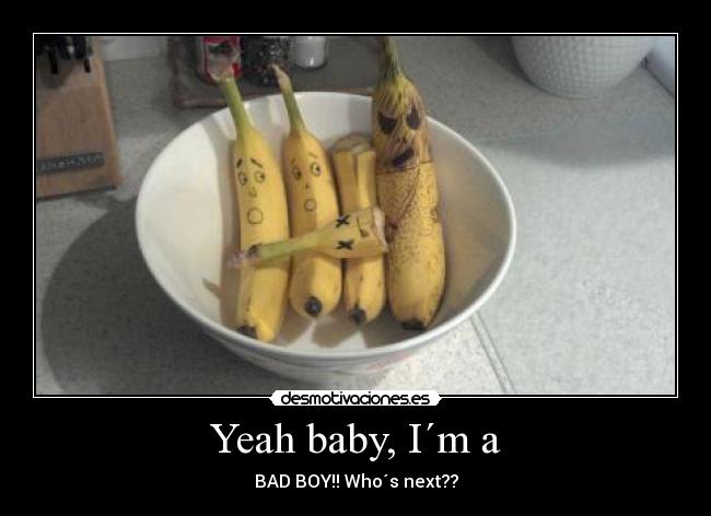 carteles bad boy desmotivaciones