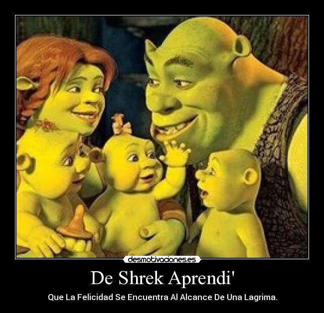 De Shrek Aprendi - Que La Felicidad Se Encuentra Al Alcance De Una Lagrima.