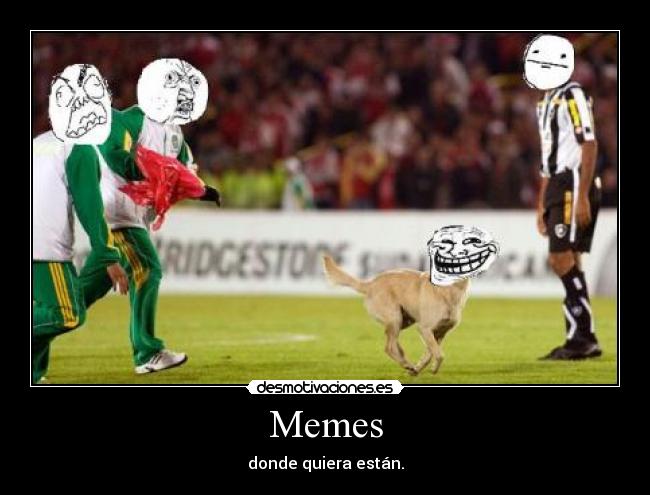 Memes - 