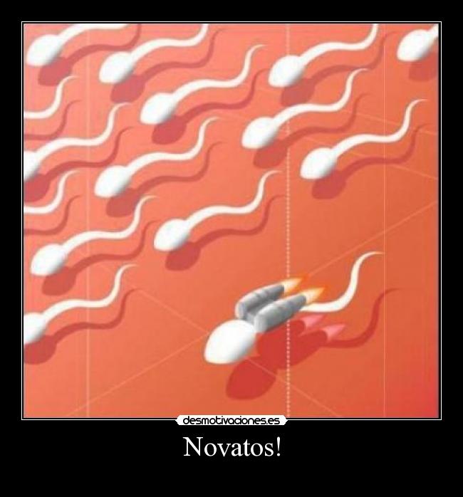 Novatos! - 