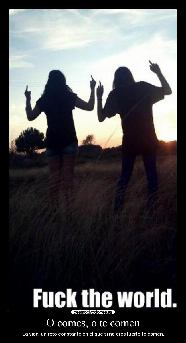 O comes, o te comen - La vida; un reto constante en el que si no eres fuerte te comen.
