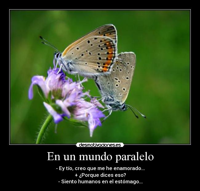 En un mundo paralelo -