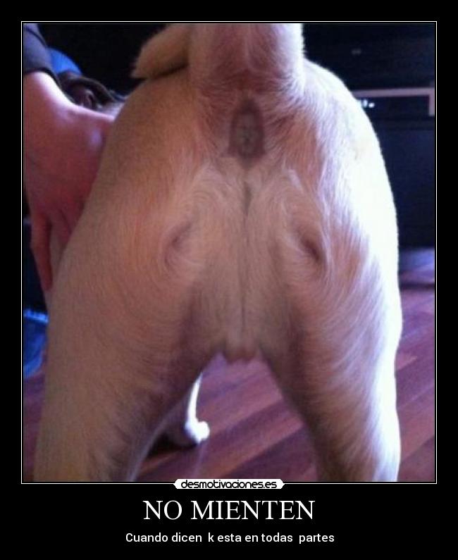 NO MIENTEN - Cuando dicen  k esta en todas  partes