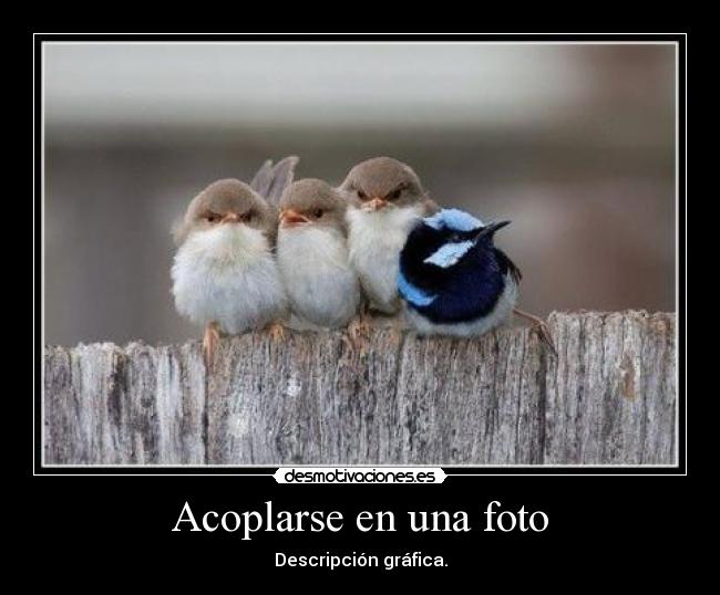 carteles carteles chorra venid miiiii xddddddd desmotivaciones