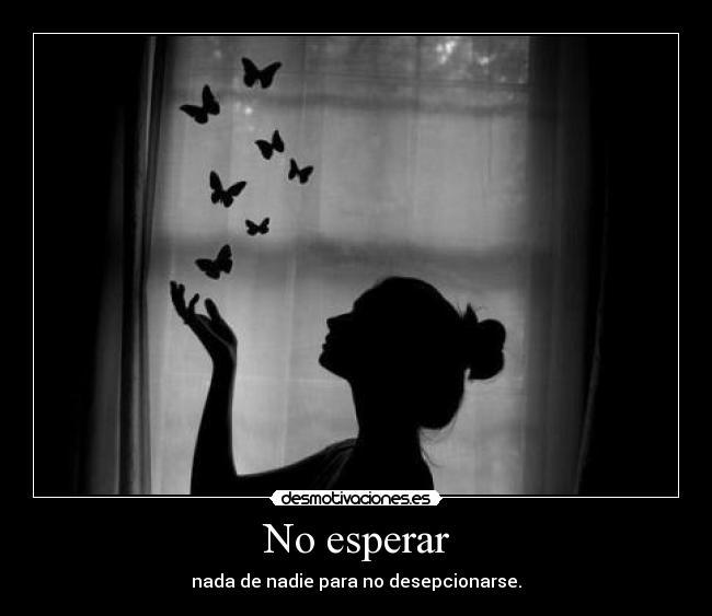 carteles stephy alvarado desmotivaciones