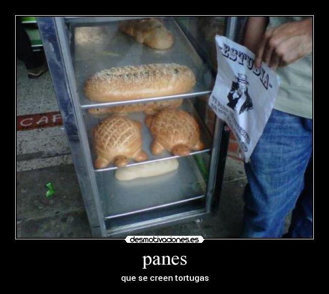 panes -