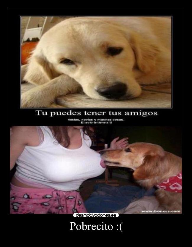 carteles pobrecito desmotivaciones