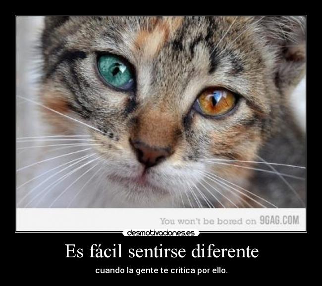 Es fácil sentirse diferente -