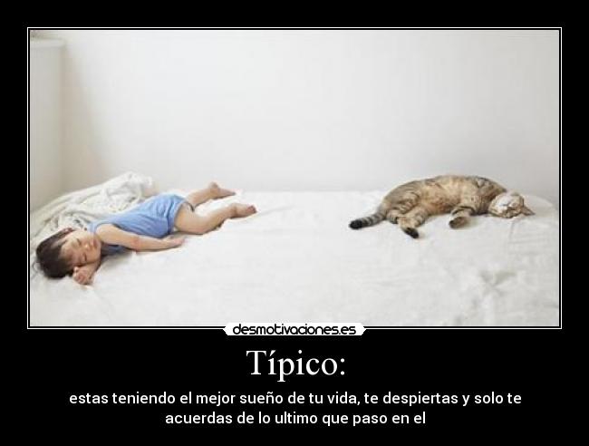 Típico: - estas teniendo el mejor sueño de tu vida, te despiertas y solo te
acuerdas de lo ultimo que paso en el