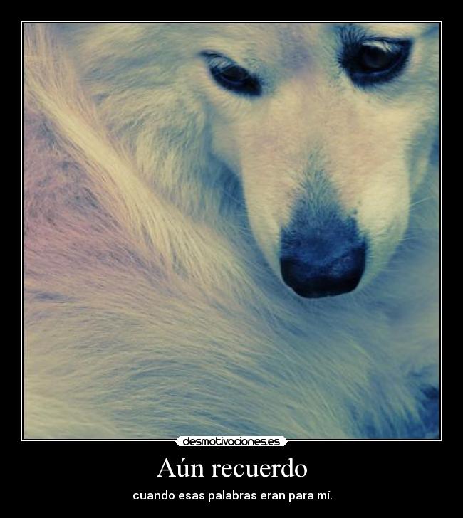 Aún recuerdo - cuando esas palabras eran para mí.