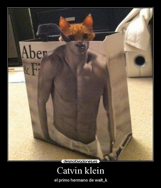 Catvin klein - 