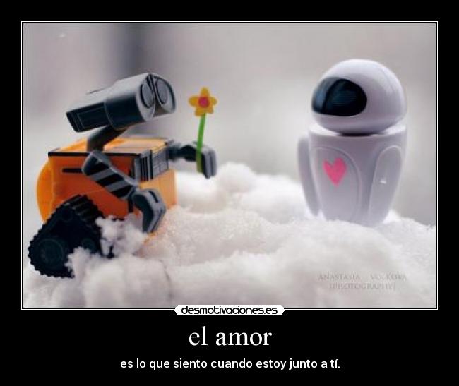 el amor - 