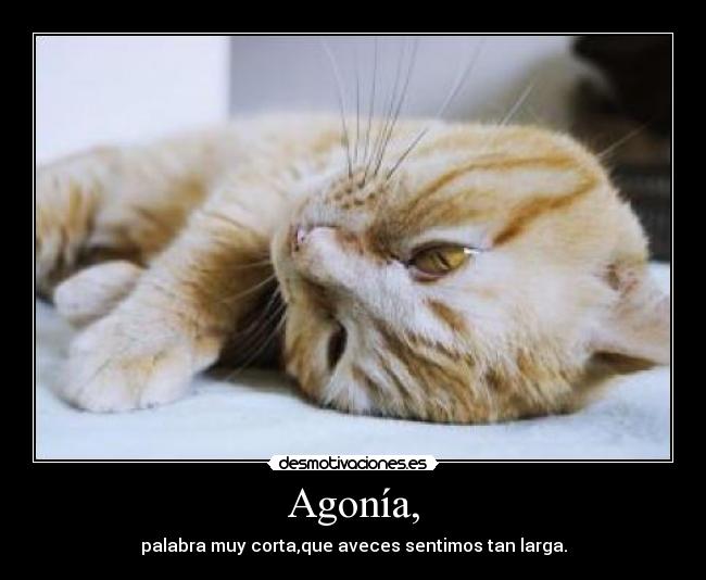 Agonía, - palabra muy corta,que aveces sentimos tan larga.