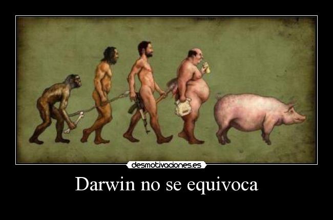 Darwin no se equivoca - 