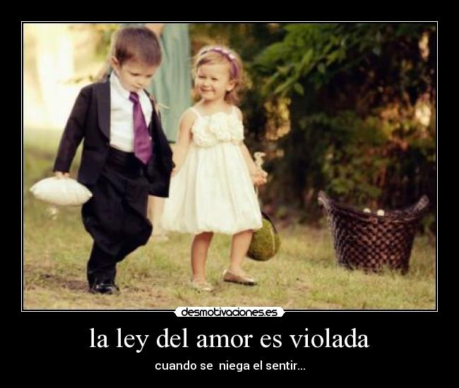 la ley del amor es violada -
