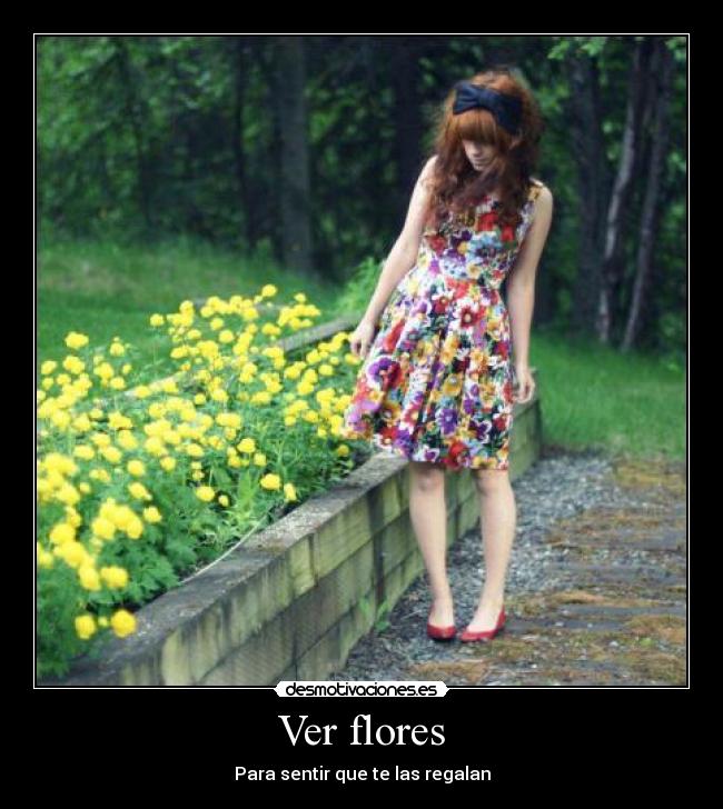 Ver flores - 