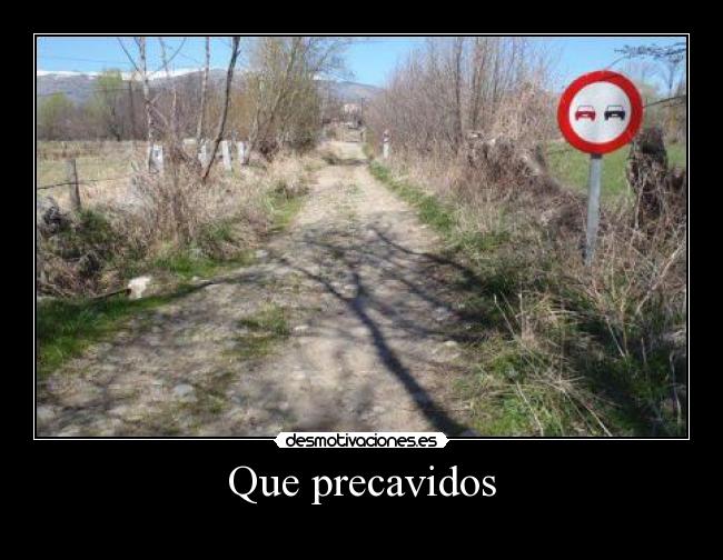 Que precavidos - 