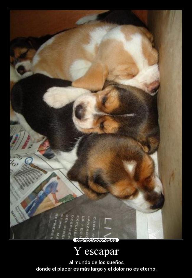 Y escapar -
