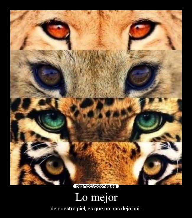carteles eyes desmotivaciones