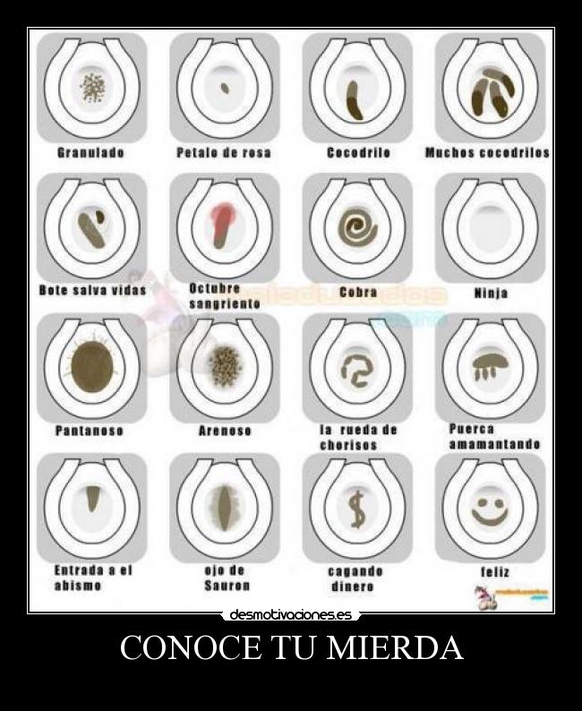 CONOCE TU MIERDA - 