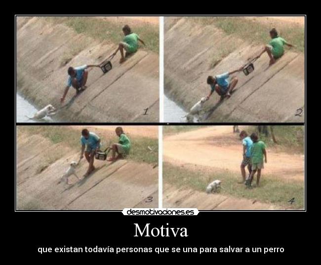 Motiva - que existan todavía personas que se una para salvar a un perro