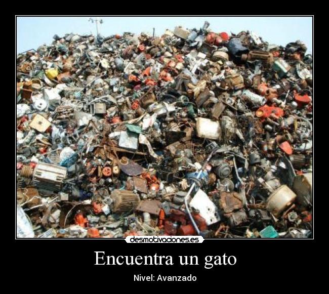 carteles weedshestong desmotivaciones