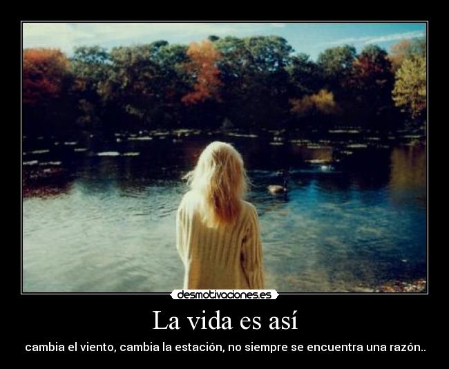 La vida es así -