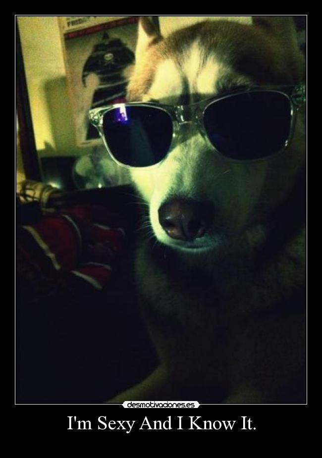 Im Sexy And I Know It. -