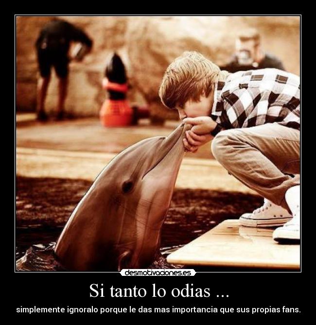 Si tanto lo odias ... - simplemente ignoralo porque le das mas importancia que sus propias fans.