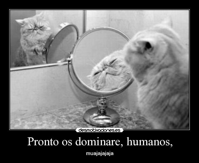 Pronto os dominare, humanos, - muajajajaja