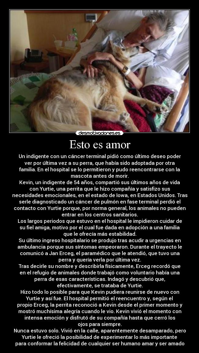 Esto es amor - 