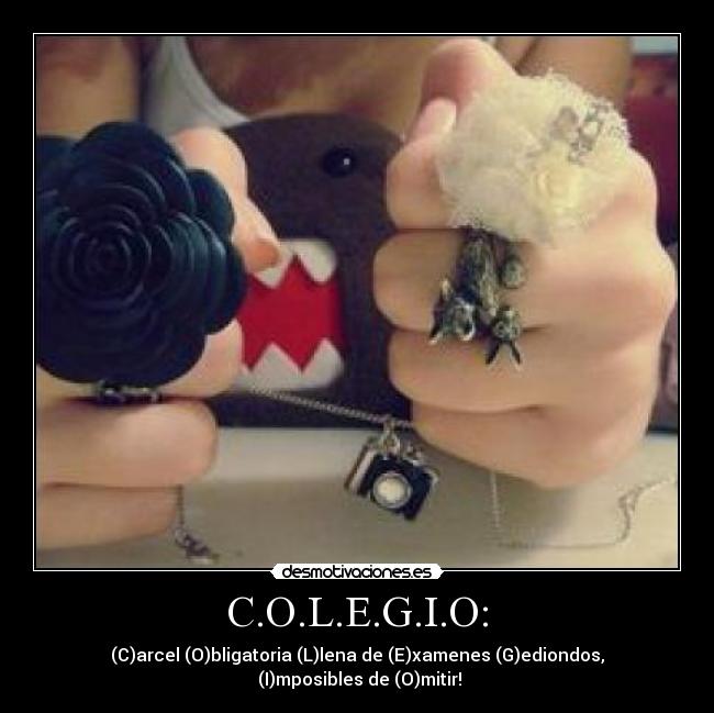 C.O.L.E.G.I.O: - 