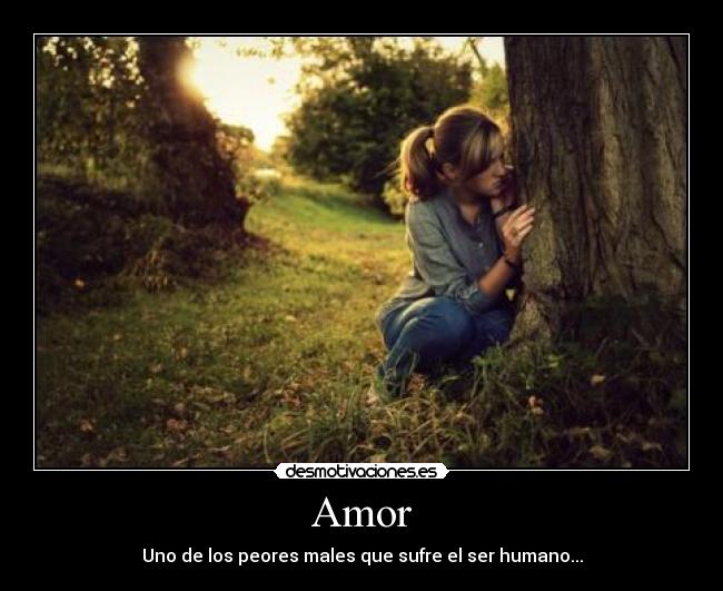 Amor - 