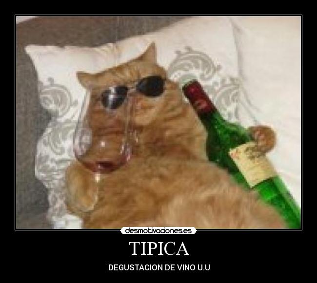 TIPICA - DEGUSTACION DE VINO U.U