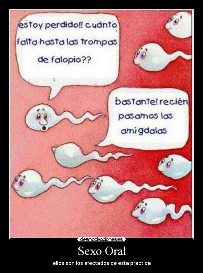 carteles sexo sexo oral desmotivaciones