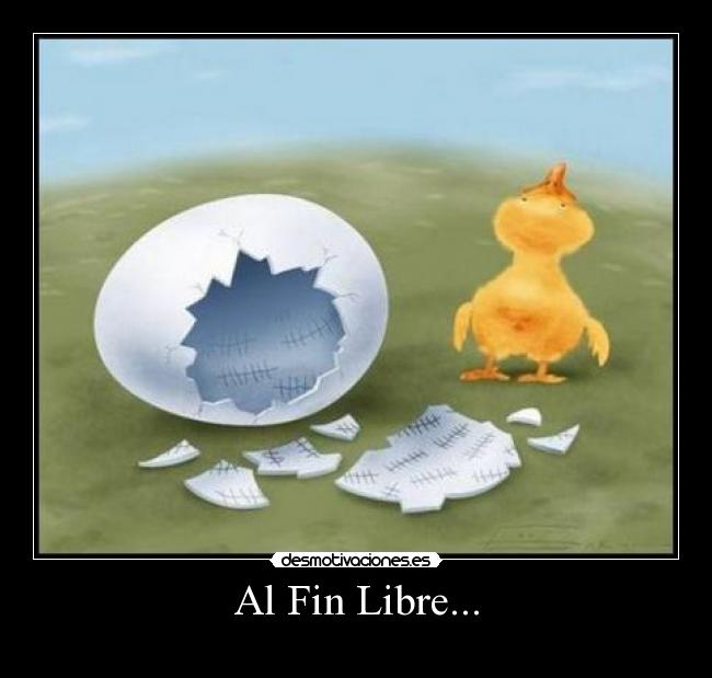 Al Fin Libre... - 
