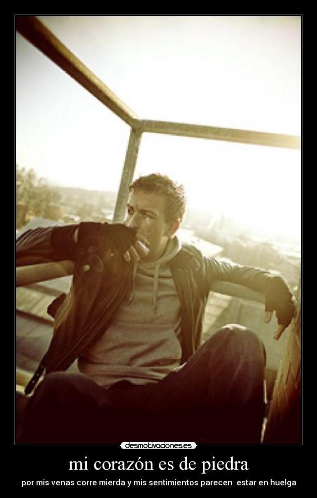 mi corazón es de piedra - por mis venas corre mierda y mis sentimientos parecen  estar en huelga