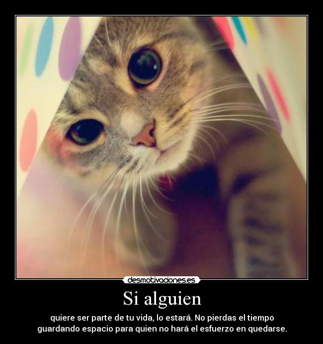 Si alguien - 