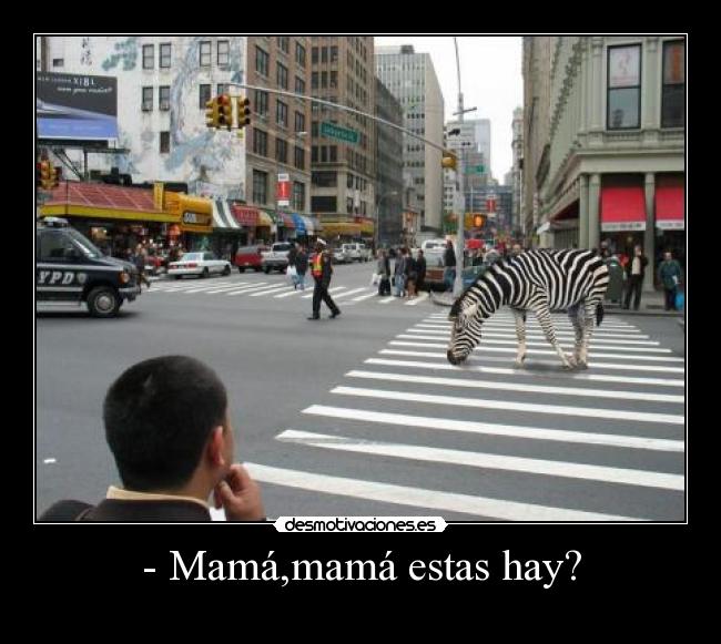 - Mamá,mamá estas hay? -